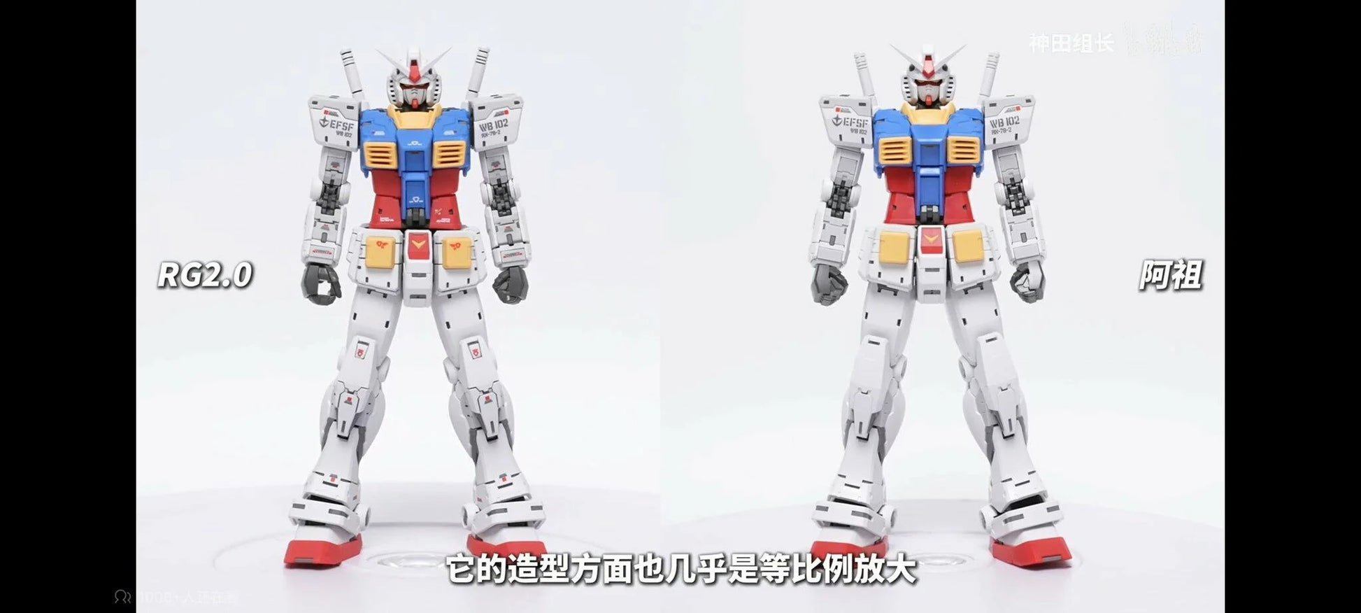 Fat Cat MG 1/100 RX-78-2 RG 2.0