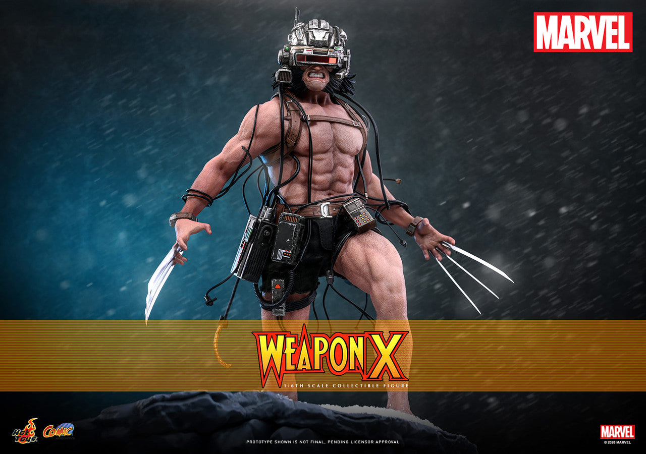 Hot Toys 1/6 Weapon X Figure