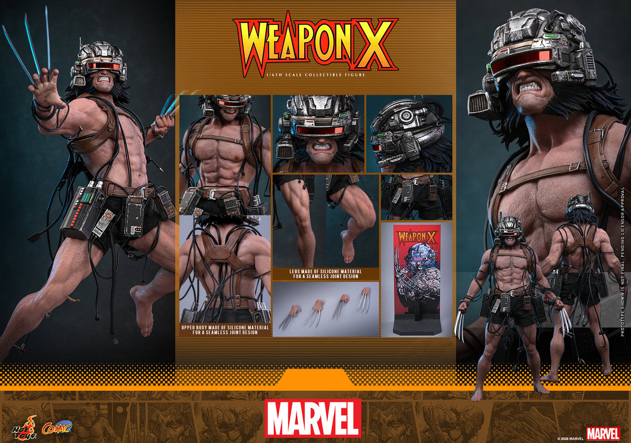 Hot Toys 1/6 Weapon X Figure