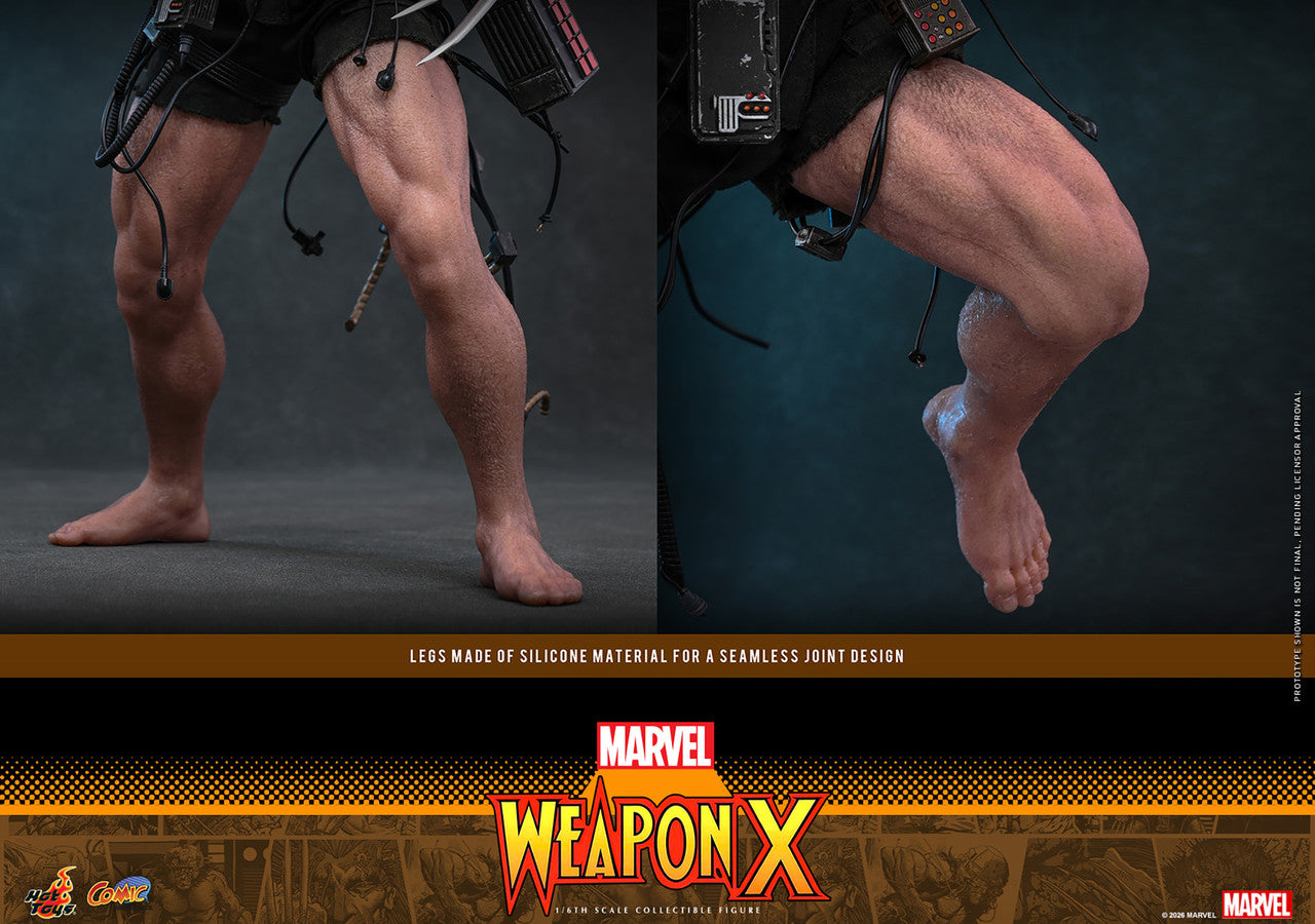 Hot Toys 1/6 Weapon X Figure