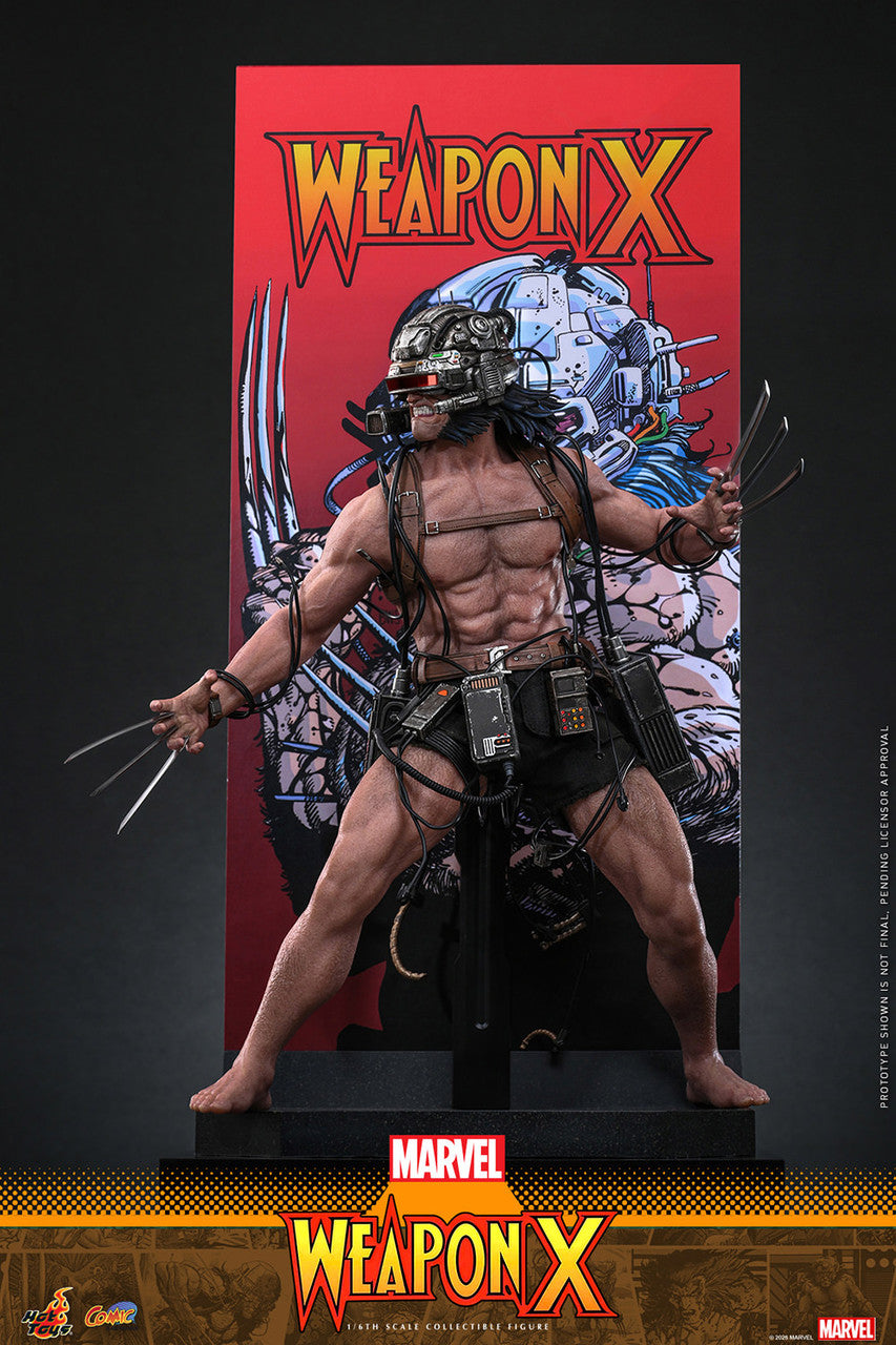 Hot Toys 1/6 Weapon X Figure