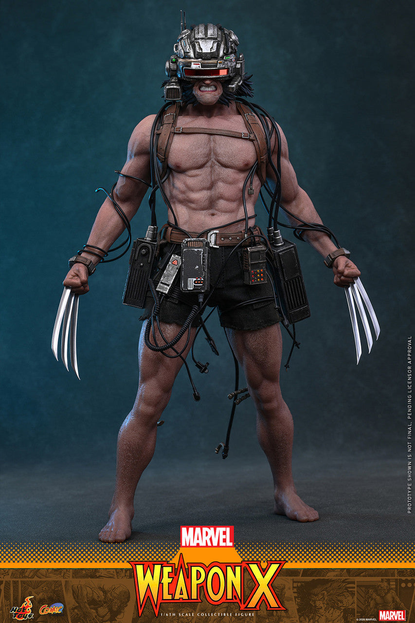 Hot Toys 1/6 Weapon X Figure