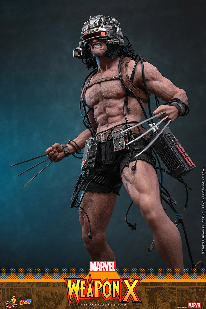 Hot Toys 1/6 Weapon X Figure
